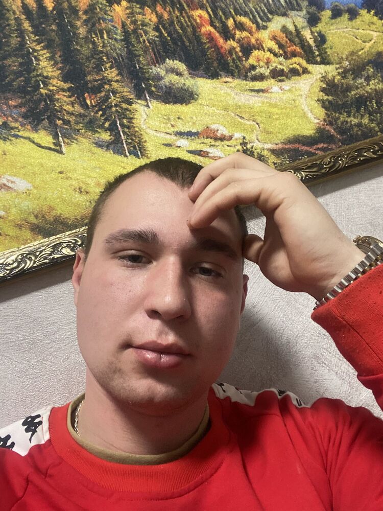  41478601  , 24 ,    -
