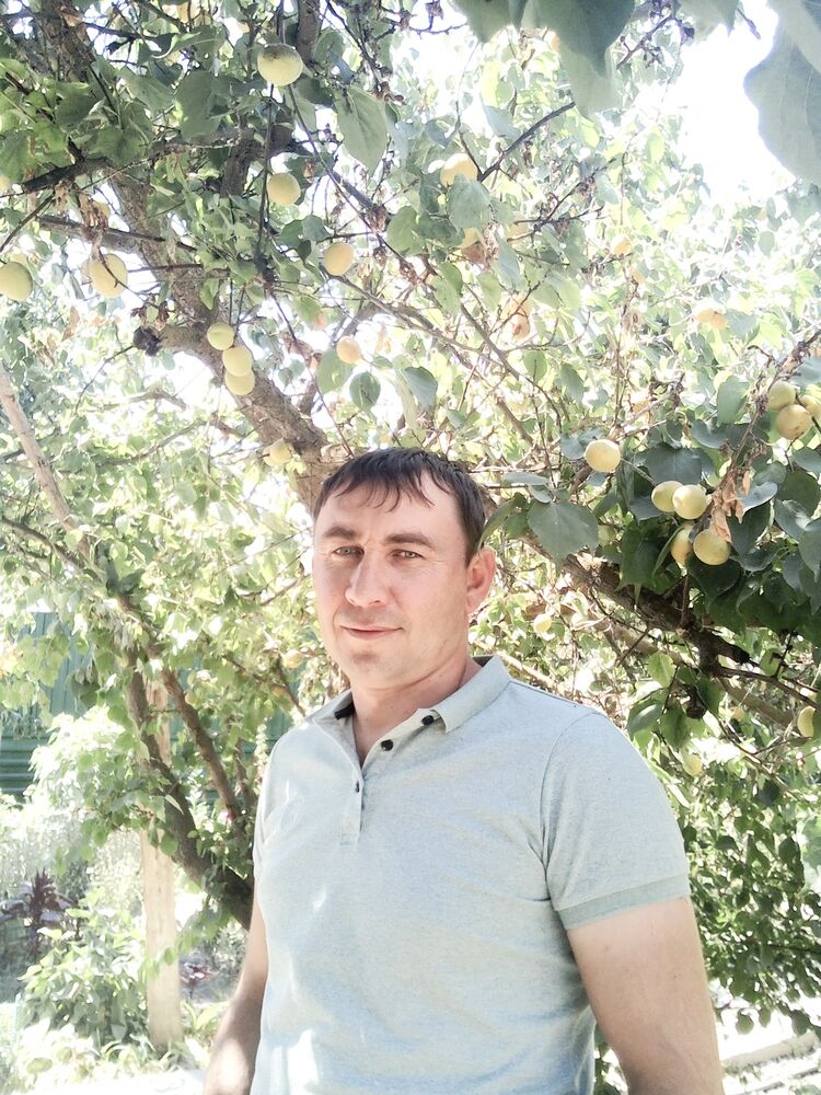 ���� 28844141 ������� ������, 38 ���, ���� ���������� � ���������