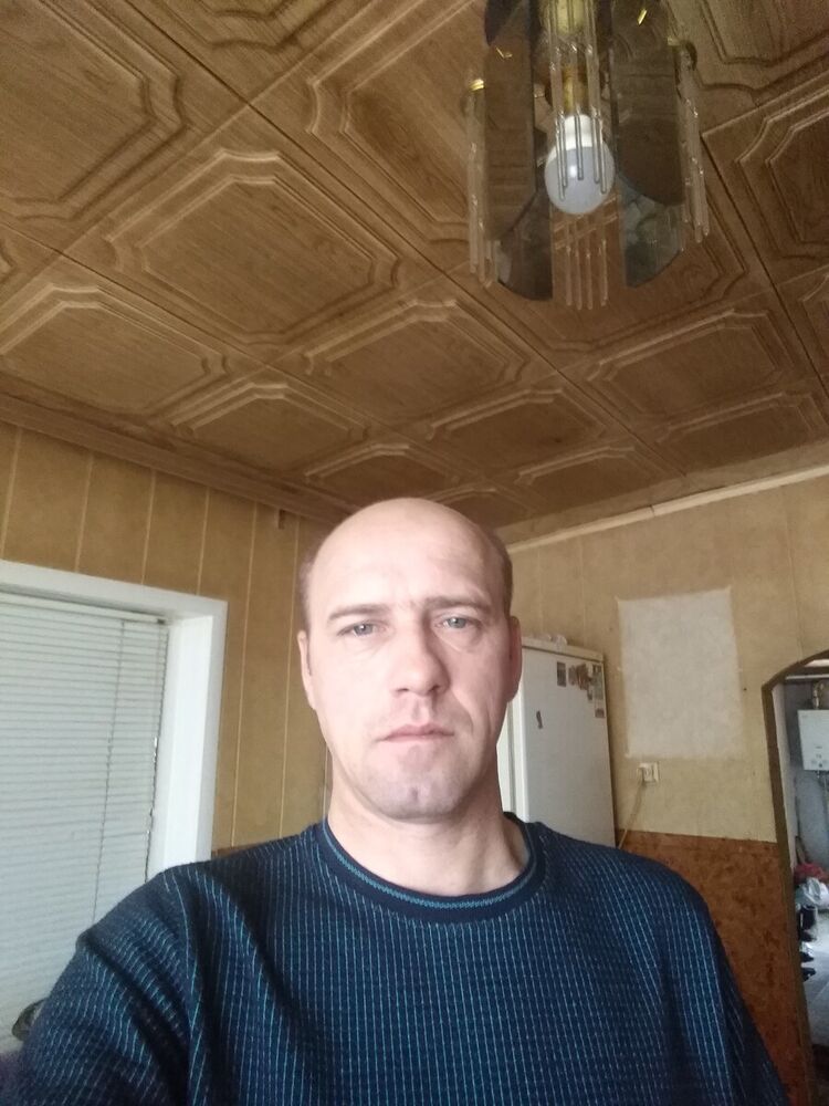  21973481  , 47 ,    