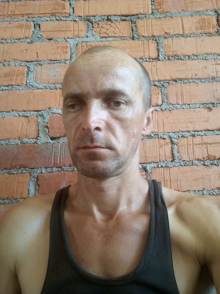  29813921  , 41 ,    