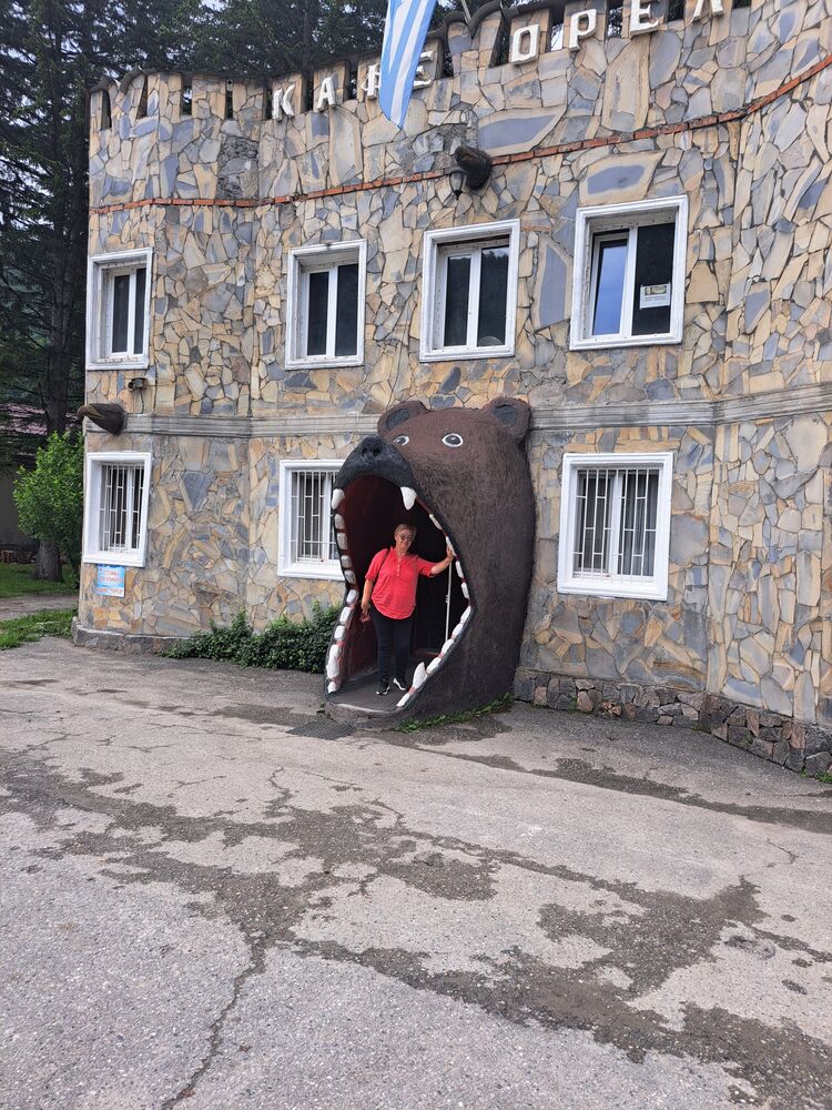  35358101  Elizaveta, 60 ,    