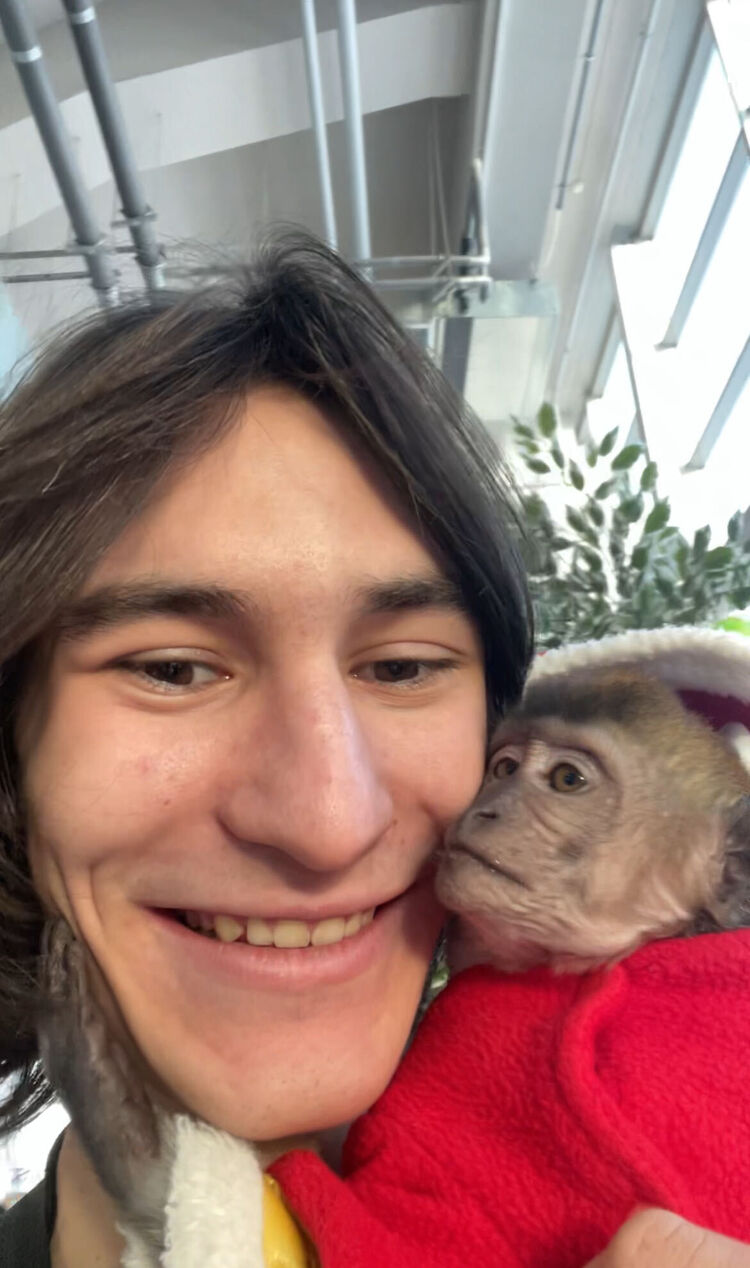 ���������� �����-���������, ���� ����� �����, 21 ���, ������������ ��� ������, ����� � ���������