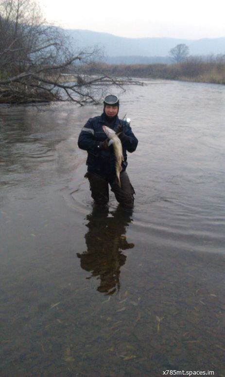 ���������� �����-���������, ���� ������� Den, 42 ����, ������������ ��� ������, ����� � ���������