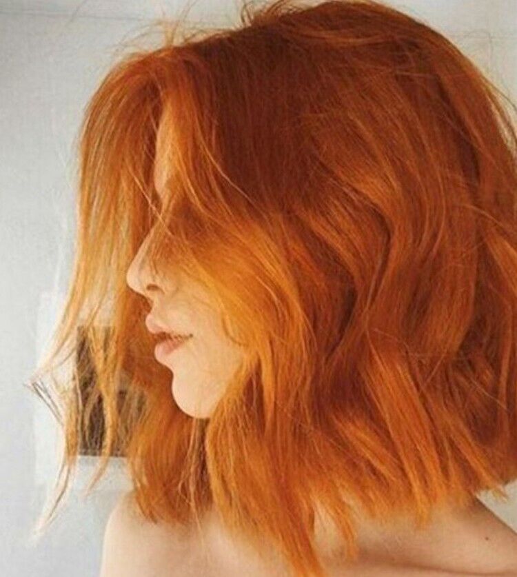 ���� 56008561 ������� ����, 38 ���, ���� ���������� � ����������