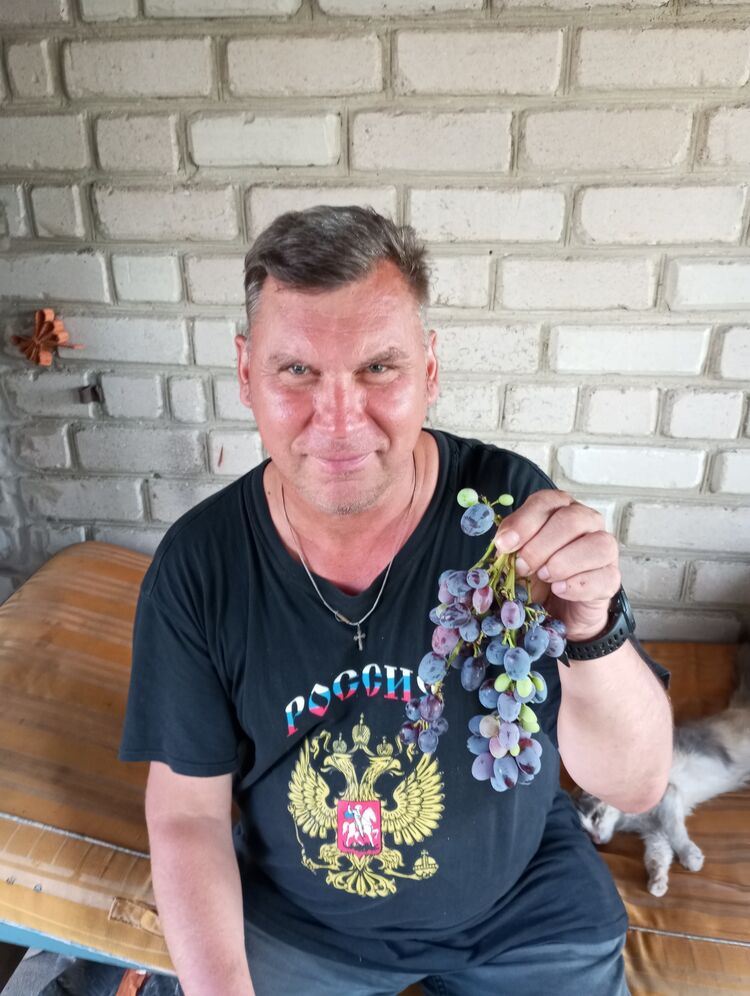 ���� 45380691 ������� �������, 45 ���, ���� ���������� � �������-��-����