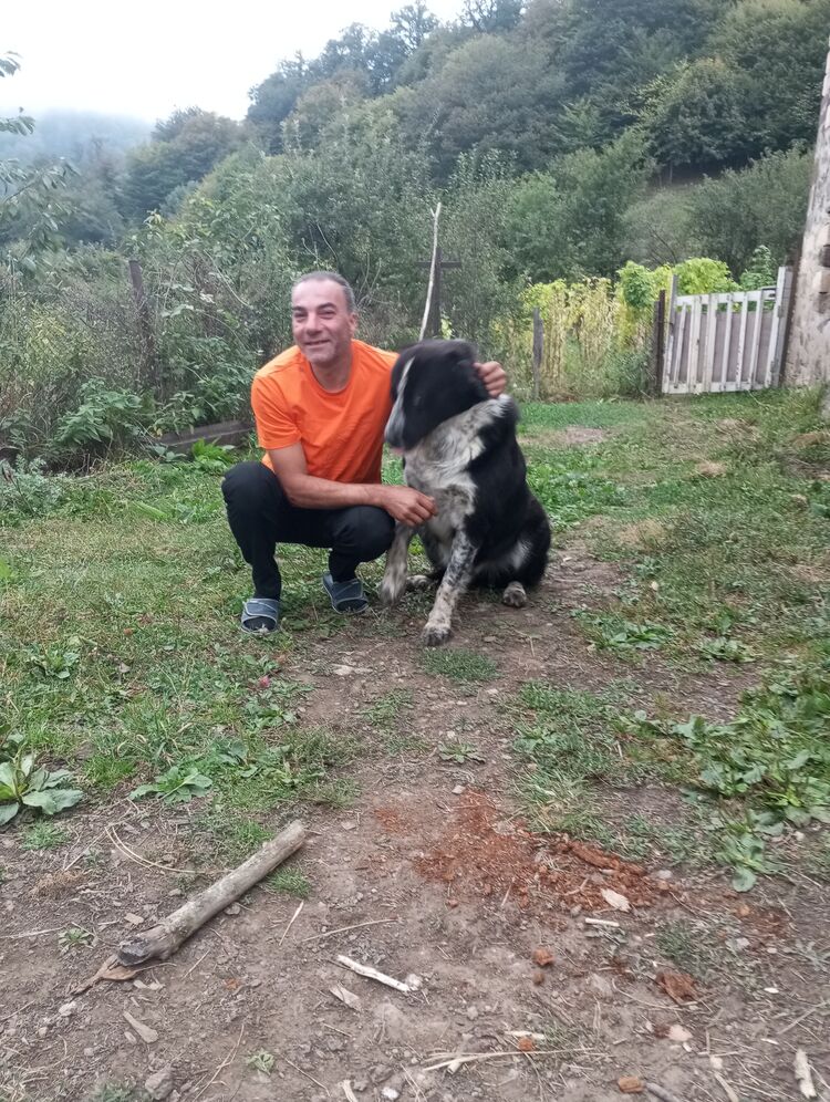  ,   Tigran, 50 ,   ,   