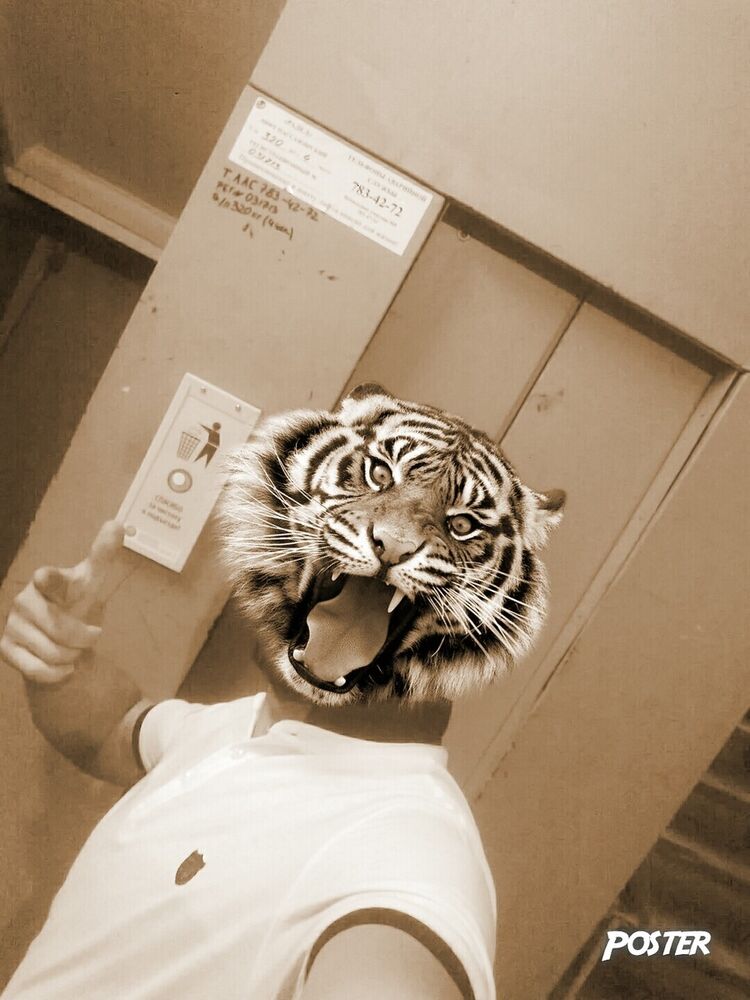  10663561   , 35 ,    -