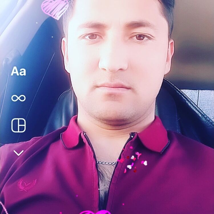  47498131  , 31 ,    
