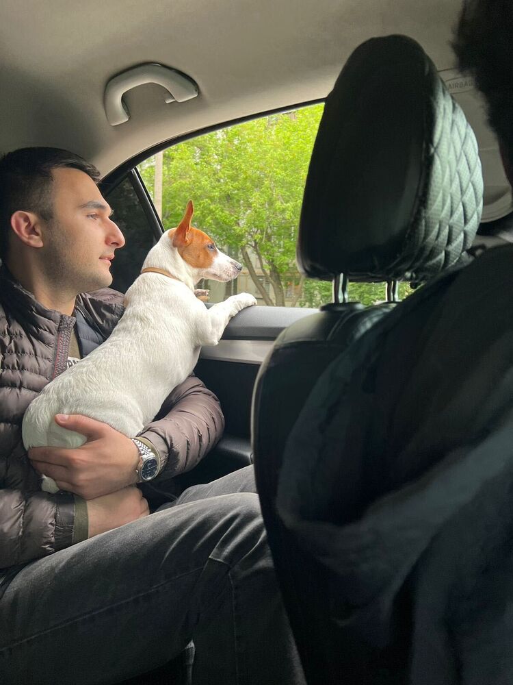 ���������� ������, ���� ������� ����, 35 ���, ������������ ��� ������, ����� � ���������