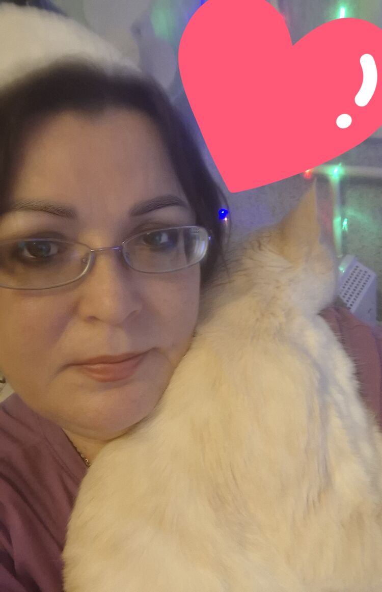 ���� 56060141 ������� ���������, 50 ���, ���� ���������� � ������� �����