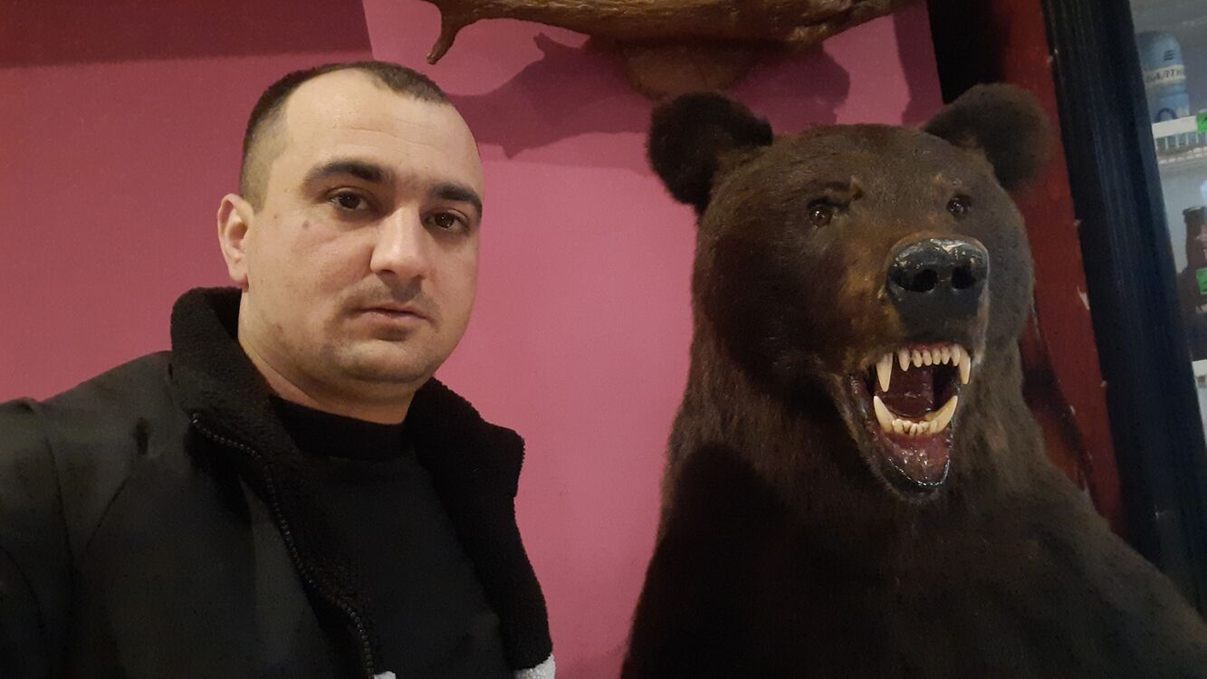 ���� 43036851 ������� ������, 32 ����, ���� ���������� � �������