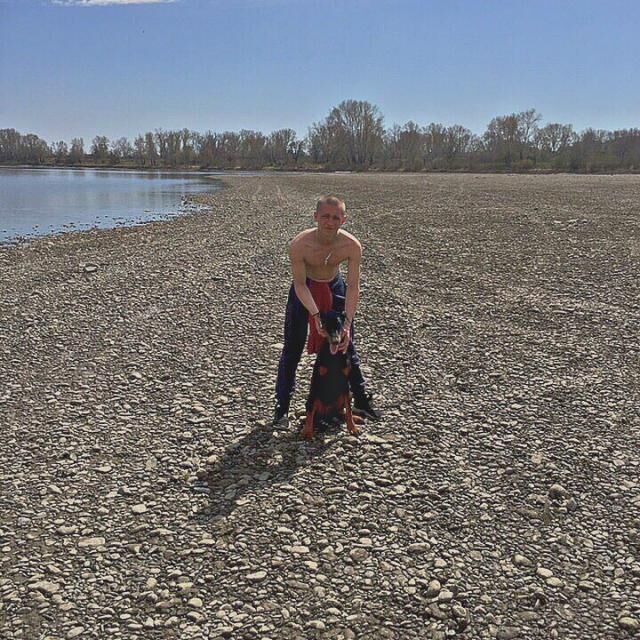 ���� 36846061 ������� ������, 28 ���, ���� ���������� � �������