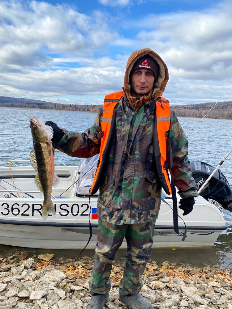 ���� 32926581 ������� ����, 36 ���, ���� ���������� � �����������