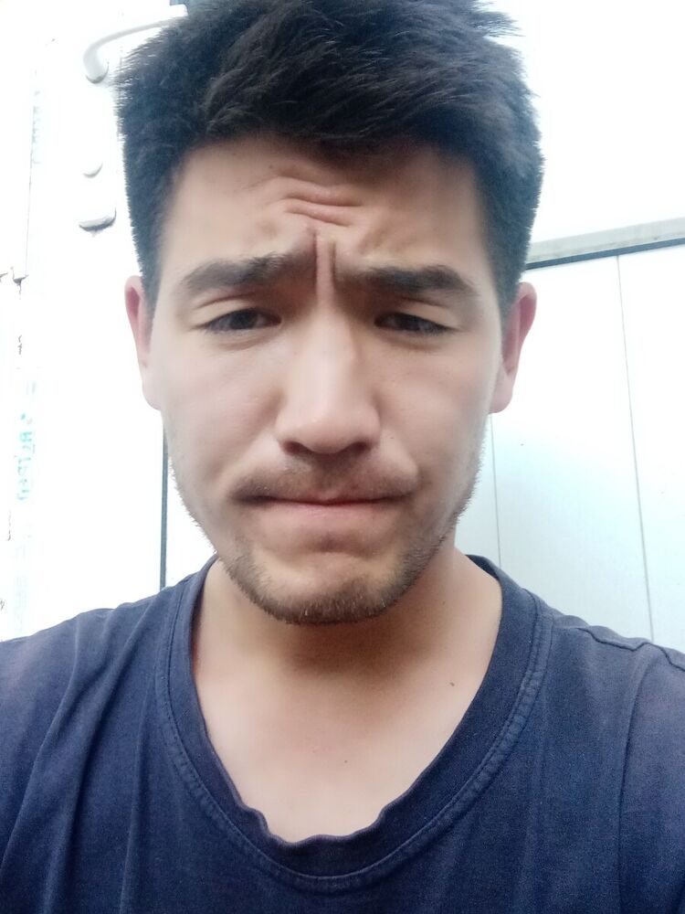  20387331  , 30 ,    