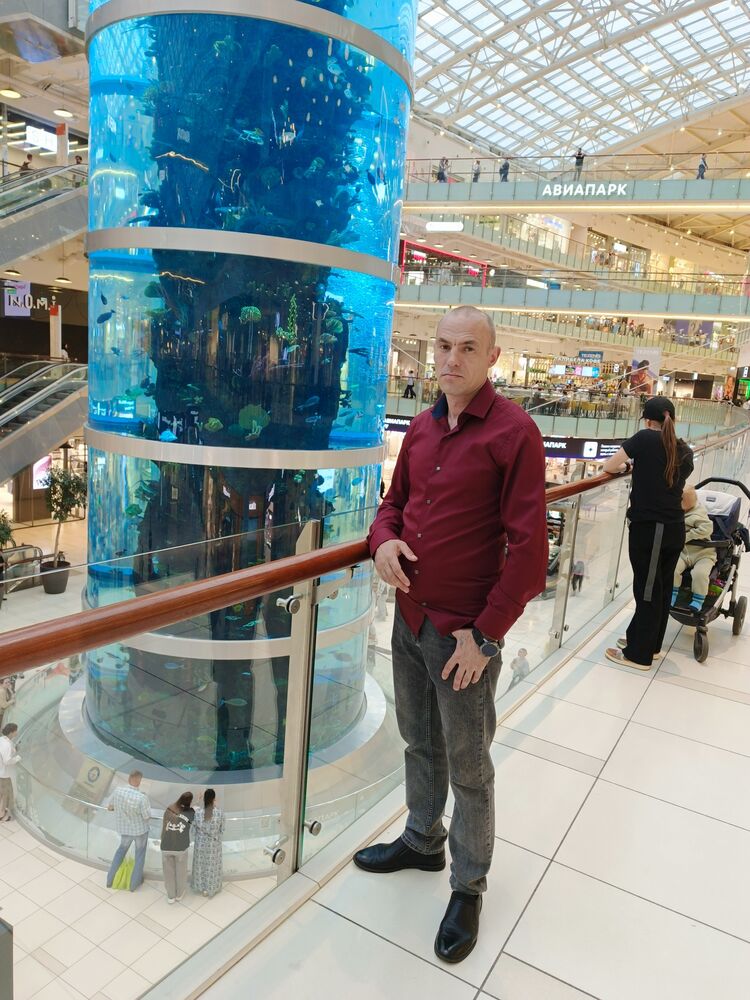 ���������� ������, ���� ������� ���������, 44 ����, ������������ ��� ������, ����� � ���������, c�������� ���������