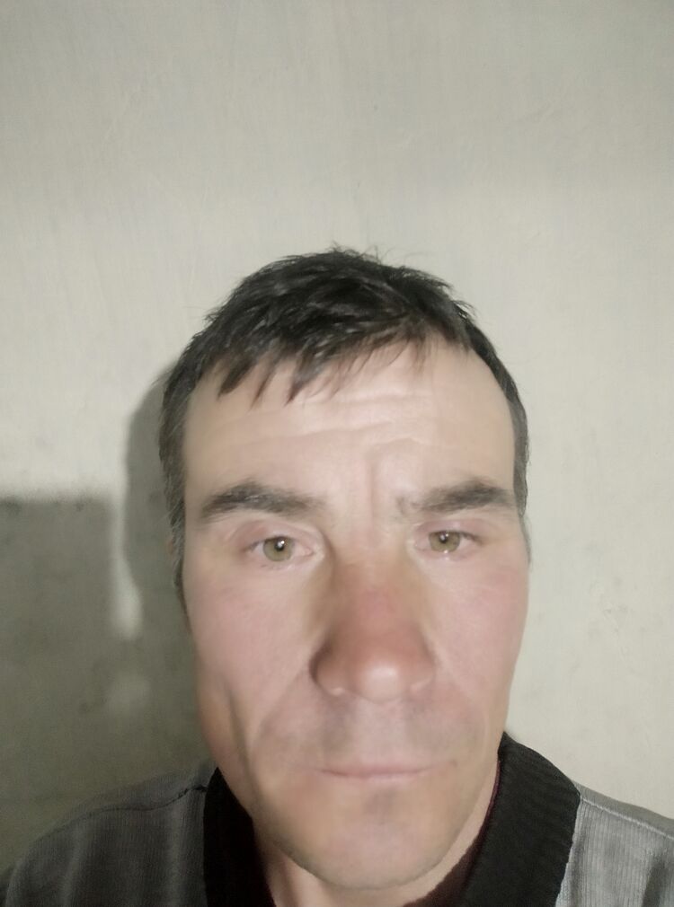 ���� 50252091 ������� ������, 40 ���, ���� ���������� � ����-�����