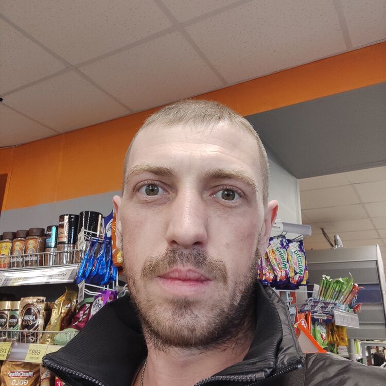 ���� 55581181 ������� �������, 38 ���, ���� ���������� � �������