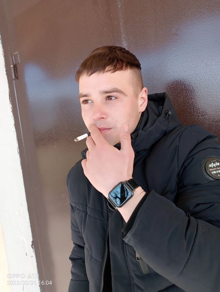  33804681  , 20 ,    