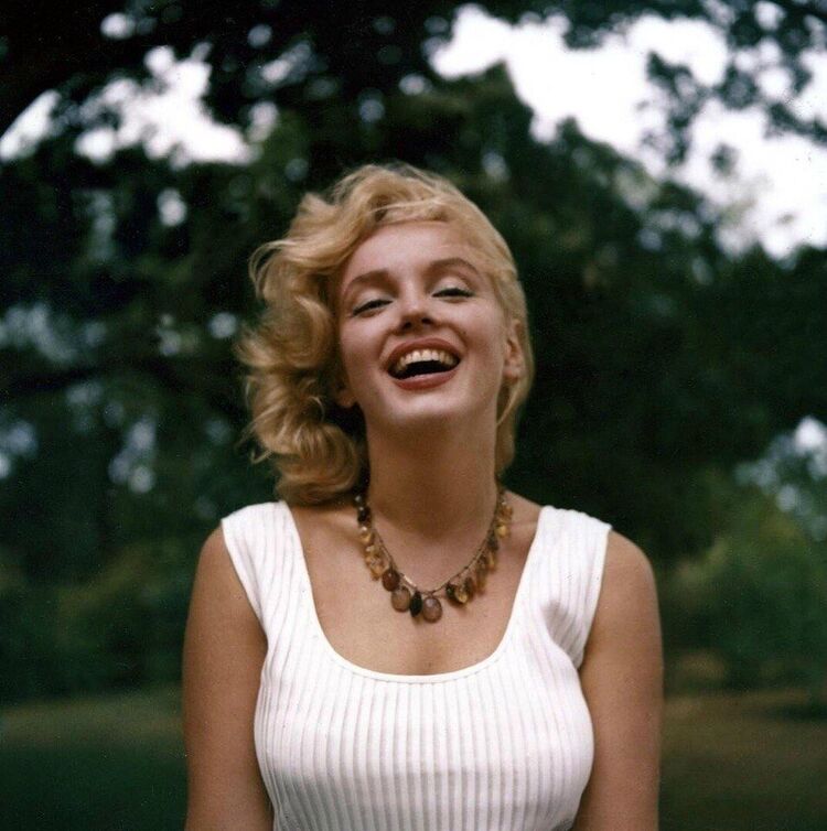 ���������� ���������, ���� ������� ����, 48 ���, ������������ ��� ������, ����� � ���������, c�������� ���������, ���������