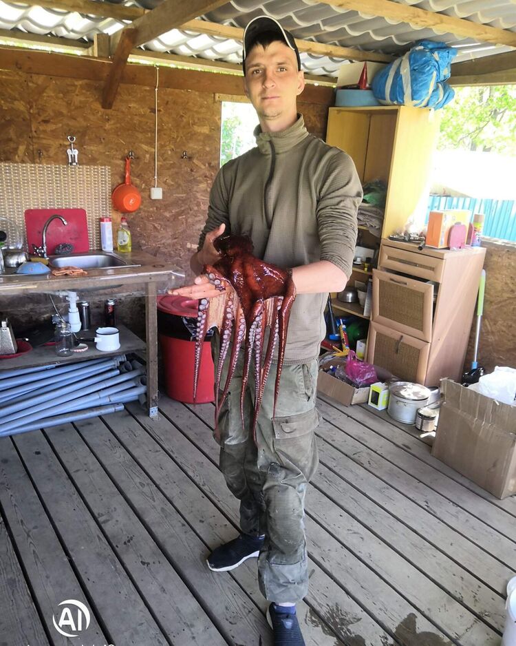 39667381  Vadim, 33 ,    