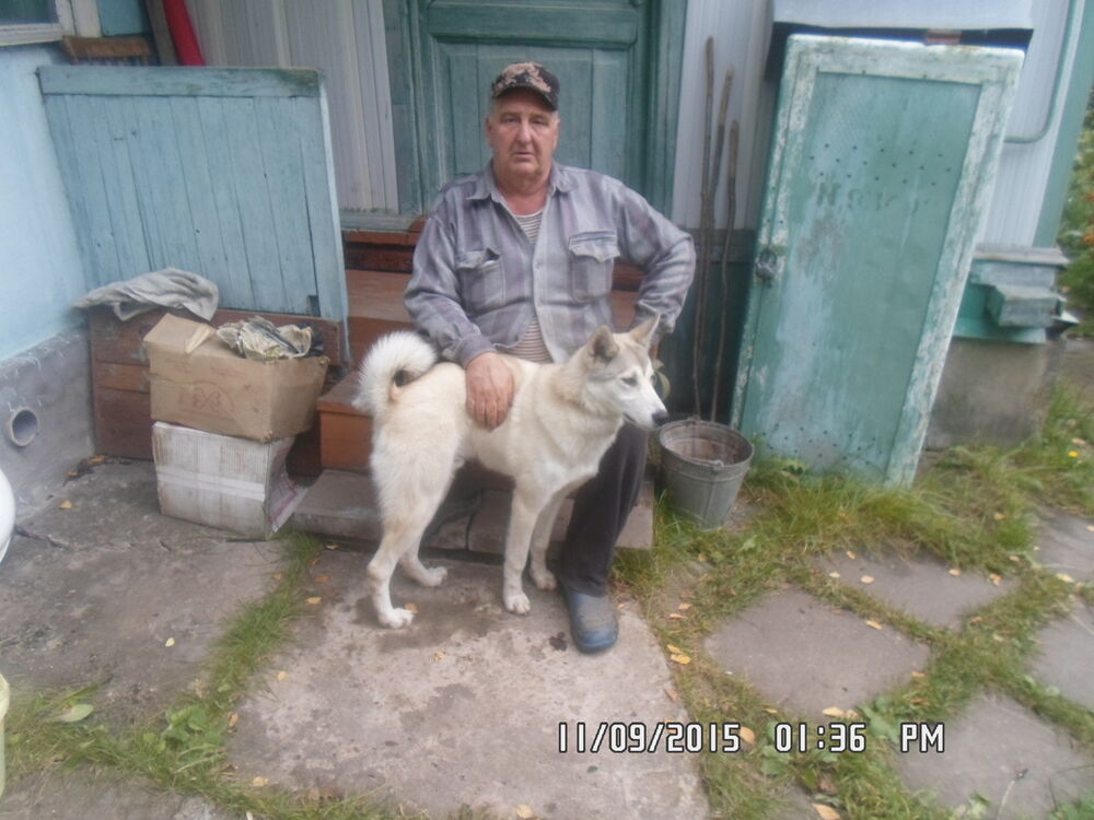  ,   , 70 ,   