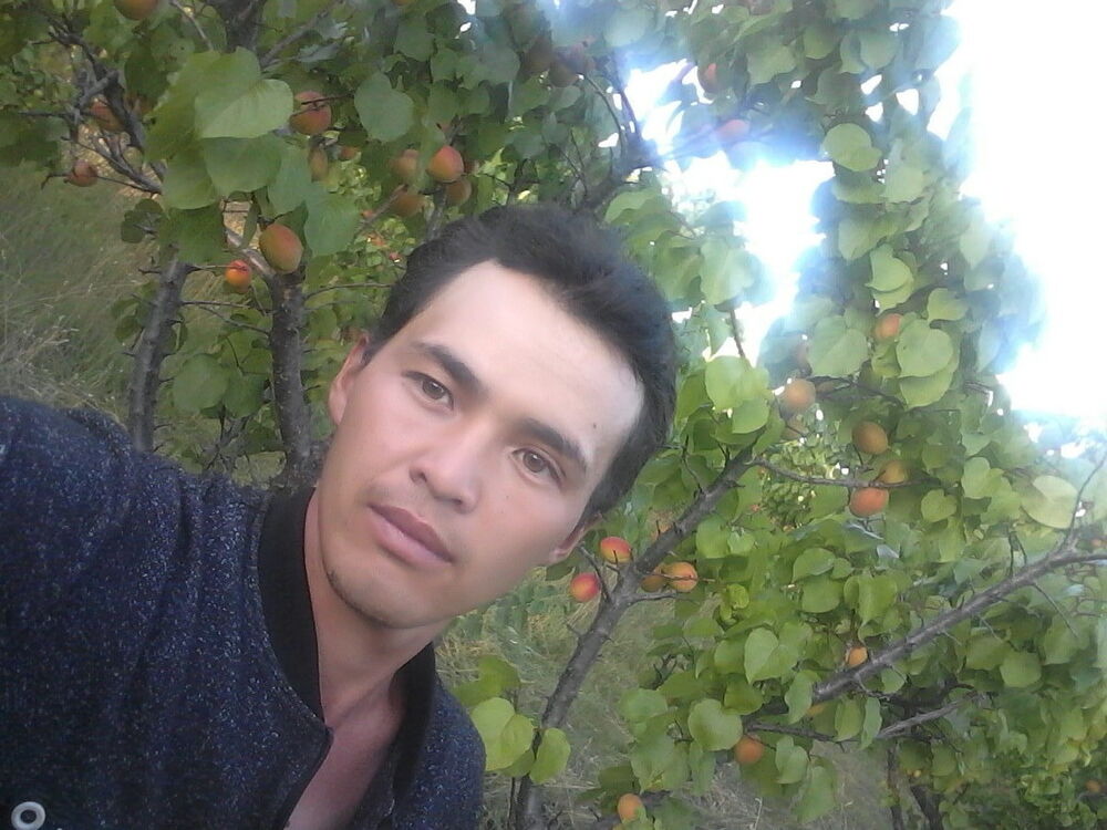  16875531  Beka, 30 ,    