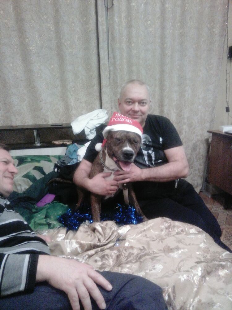 ���� 9430061 ������� �����, 57 ���, ���� ���������� � ������ ���������