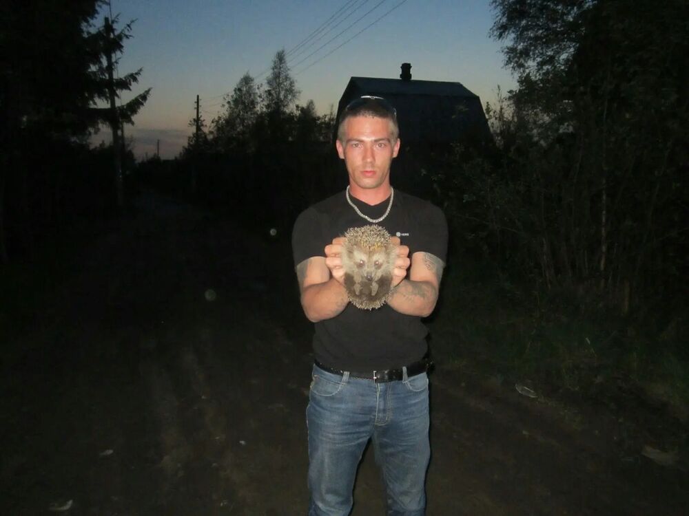  31964671  , 37 ,    -