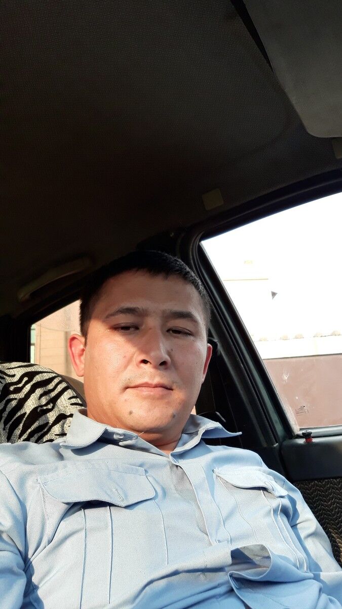  15646941  , 43 ,    