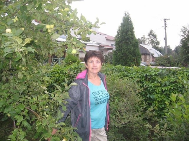 ���� 24524091 ������� �������, 63 ����, ���� ���������� � ������������