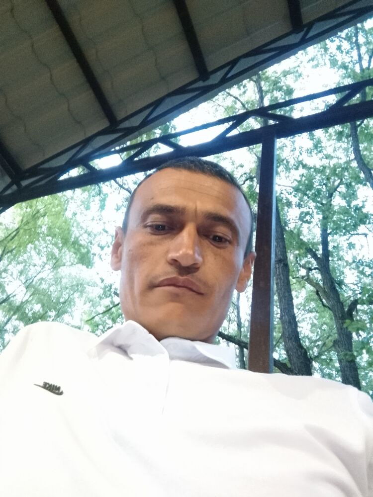  45536391  , 40 ,    