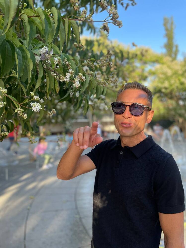 ���� 51731881 ������� �����, 40 ���, ���� ���������� � �������