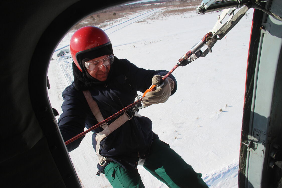 ���� 50122731 ������� ����������, 41 ���, ���� ���������� � ������