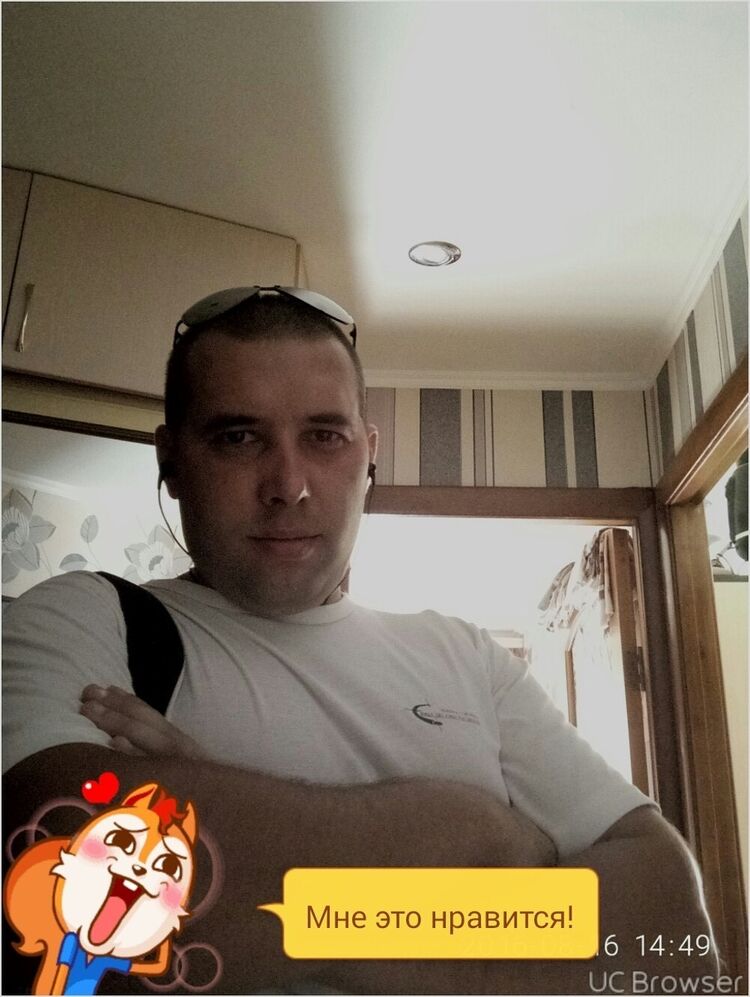  8429991  , 40 ,    