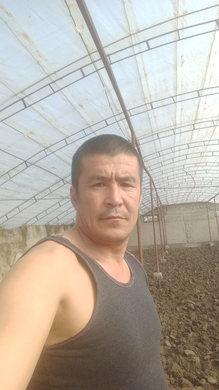 44087161  , 49 ,    