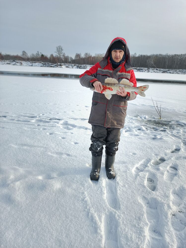 ���� 53971381 ������� ��������, 49 ���, ���� ���������� � ������