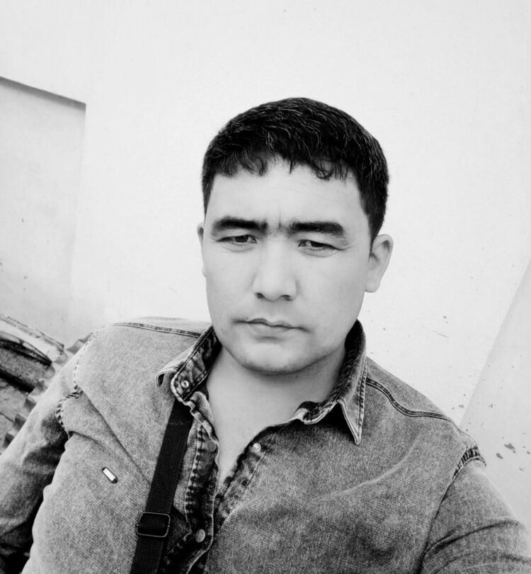  40910871  , 33 ,    