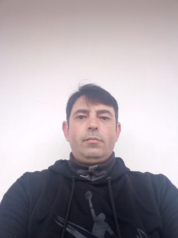  33599411  , 43 ,    