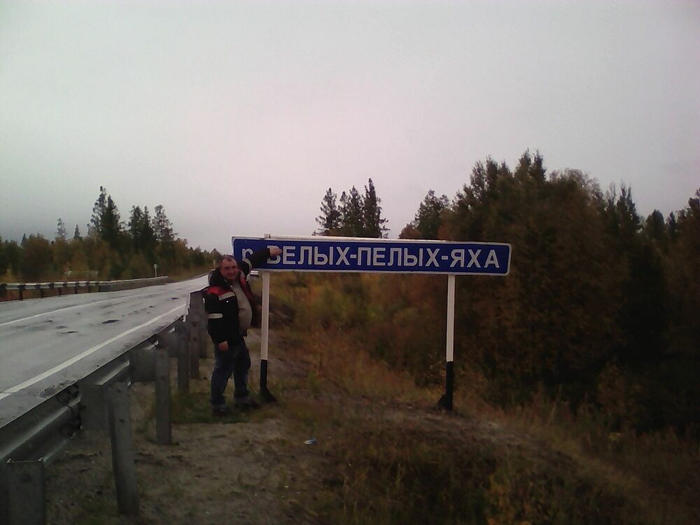  11826161  , 50 ,    