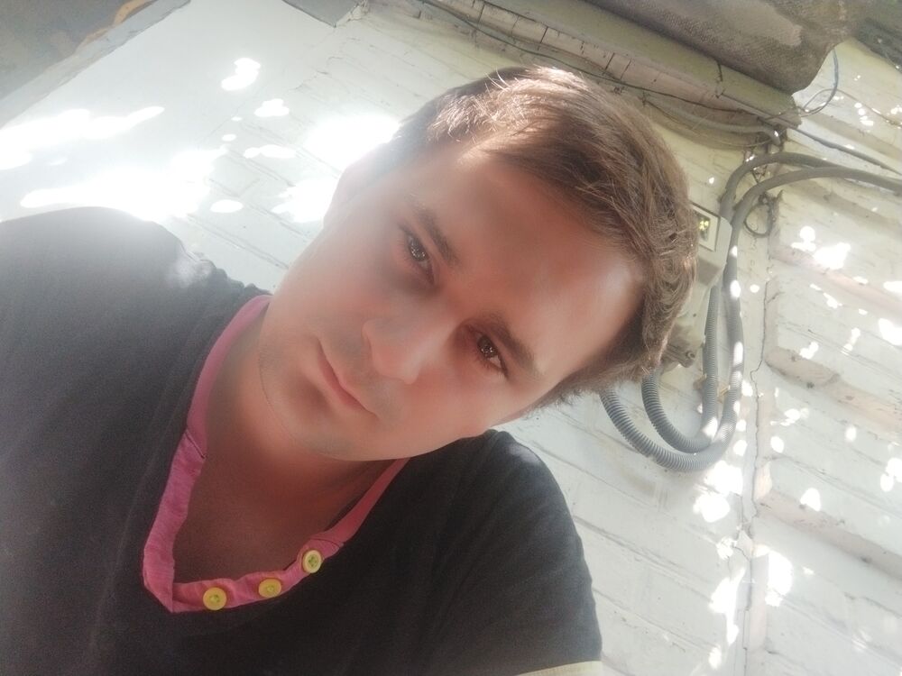  28820041  , 33 ,    