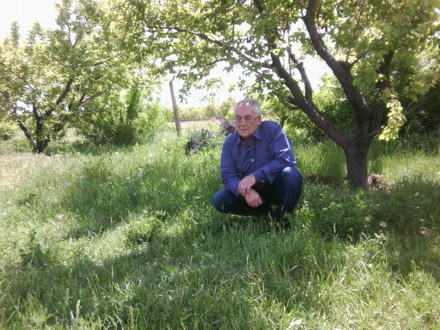 ���� 5996691 ������� AVETIS, 56 ���, ���� ���������� � �������