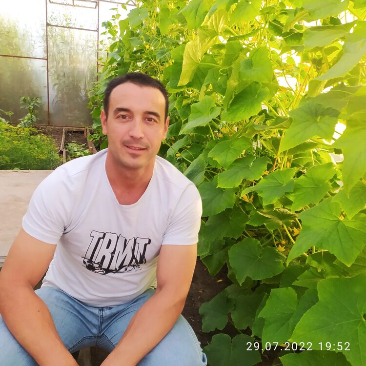 ���� 34215661 ������� ������, 38 ���, ���� ���������� � ������