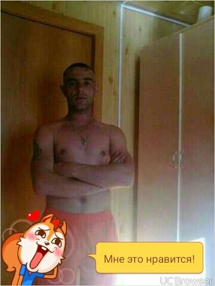  8462481  , 36 ,    -