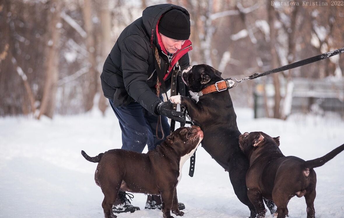 ���������� �����, ���� ������� ������, 59 ���, ������������ ��� ������, ����� � ���������