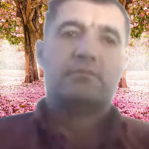  33799561  Davlat, 45 ,    