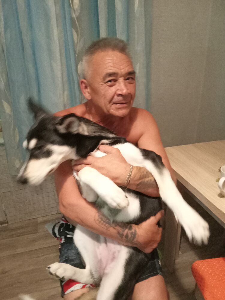  23377161  , 66 ,    