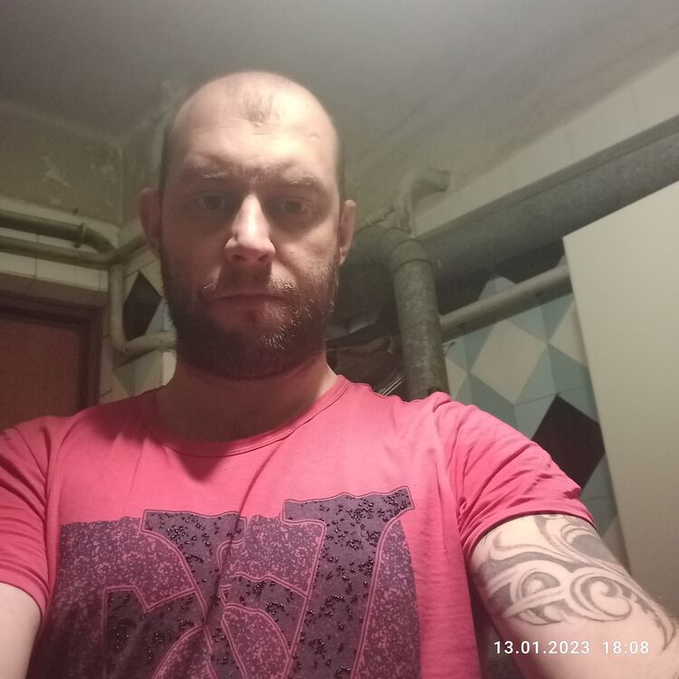 ���� 31909791 ������� ����, 36 ���, ���� ���������� � ����������