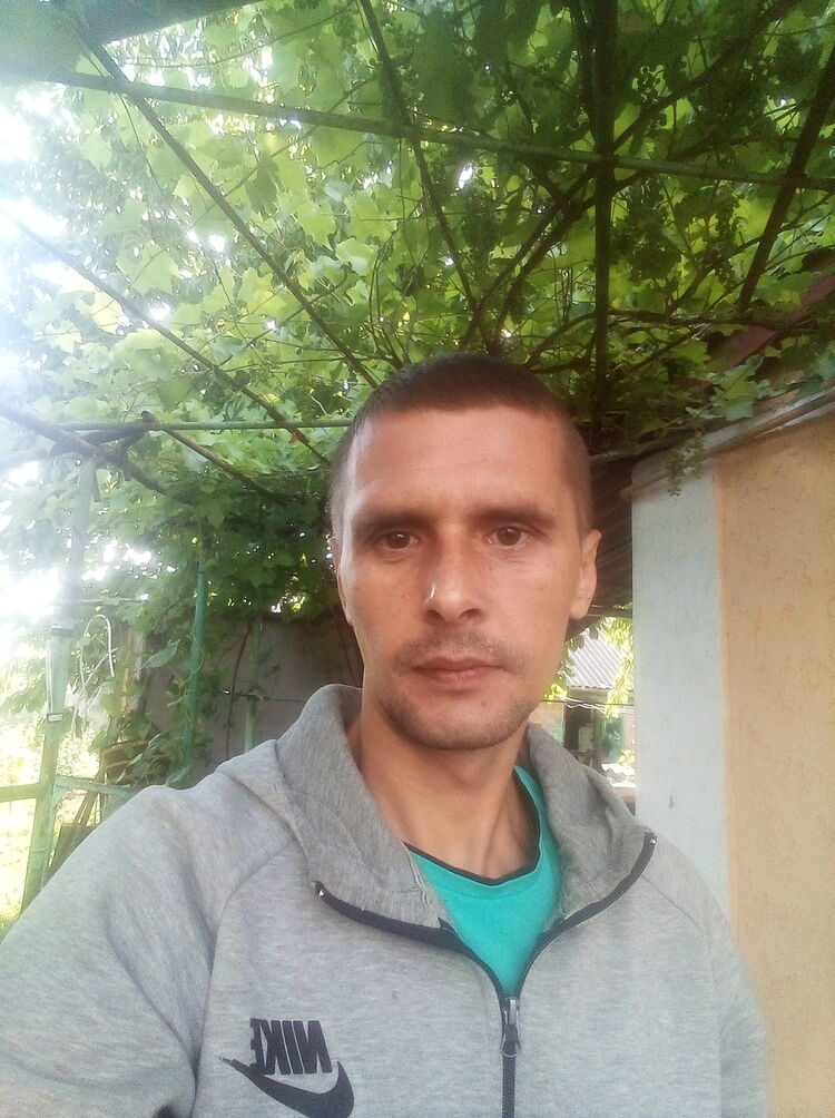  16951341  , 43 ,    