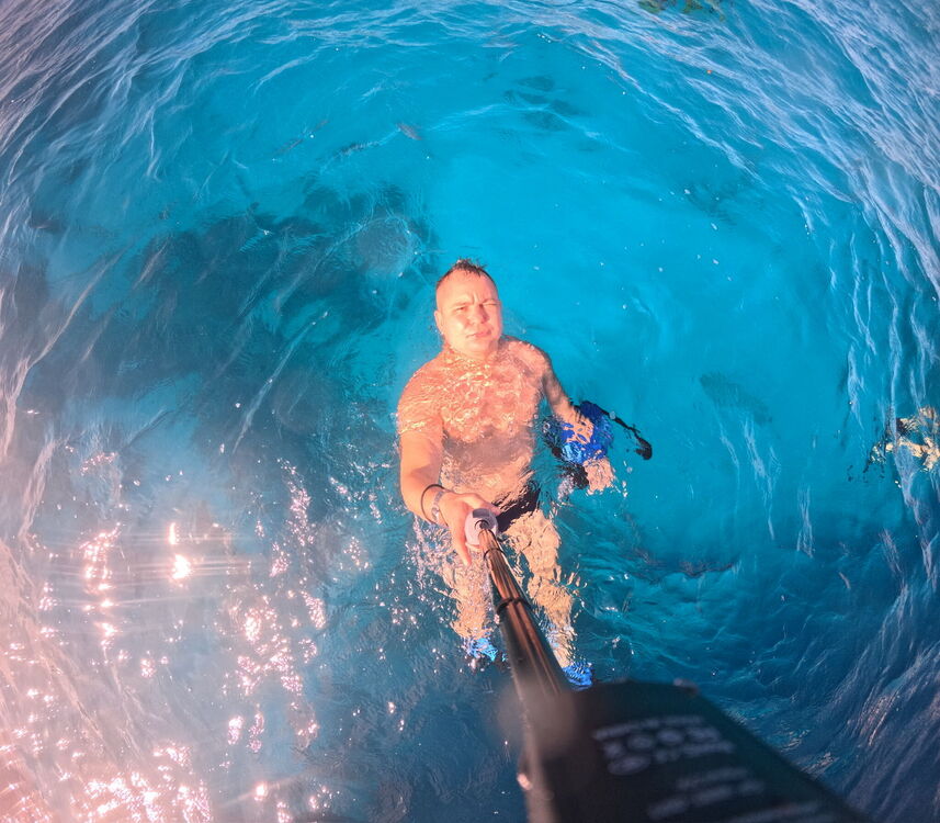 ���� 55008061 ������� ���������, 36 ���, ���� ���������� � �����