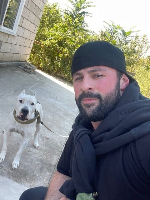 ���������� ������, ���� ������� �����, 36 ���, ������������ ��� ������, ����� � ���������, c�������� ���������, ���������